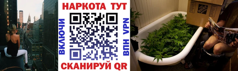 Что такое Дмитриев МЕТАМФЕТАМИН Alpha-PVP ГАШИШ Cocaine МАРИХУАНА