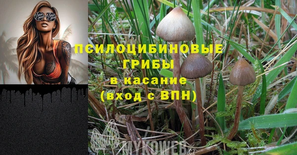мет Алексеевка