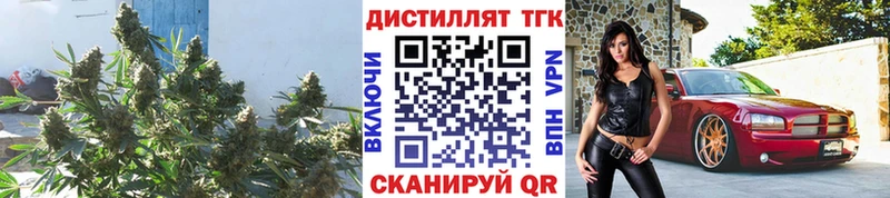 ТГК Wax  мега как войти  Дмитриев 