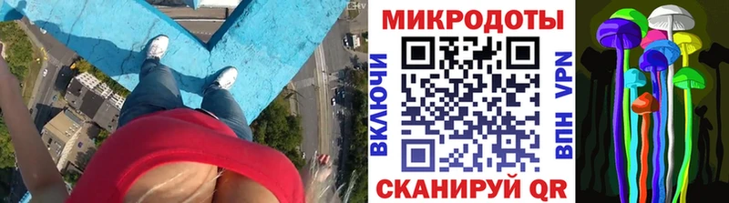 как найти закладки  Дмитриев  Псилоцибиновые грибы GOLDEN TEACHER 